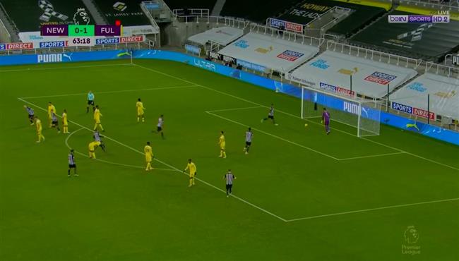 اهداف مباراة نيوكاسل وفولهام 1 1 الدوري الانجليزي