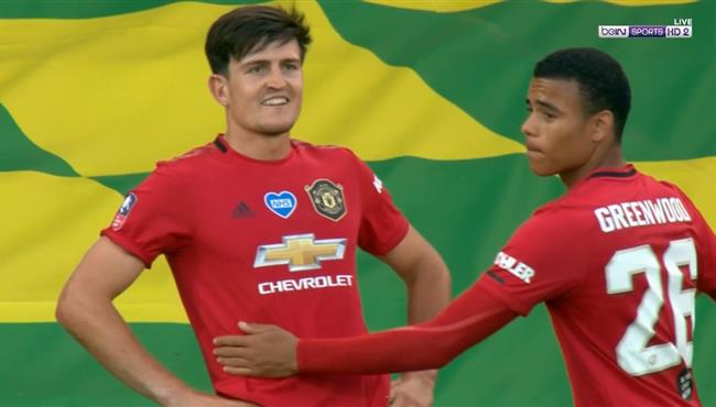 هدف ماجواير القاتل في مرمي نورويتش سيتي بكاس الاتحاد الانلجيزي
