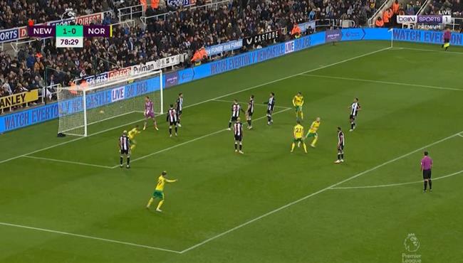 اهداف مباراة نيوكاسل ونورويتش سيتي 1 1 الدوري الانجليزي