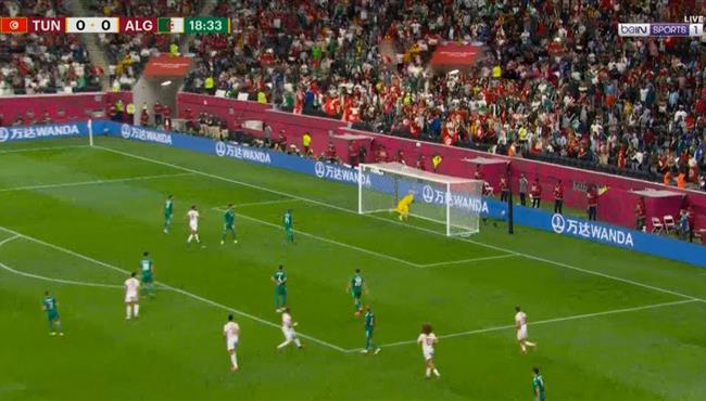 تصدي رايس مبولحي الرائع يحرم تونس من تسجيل هدف