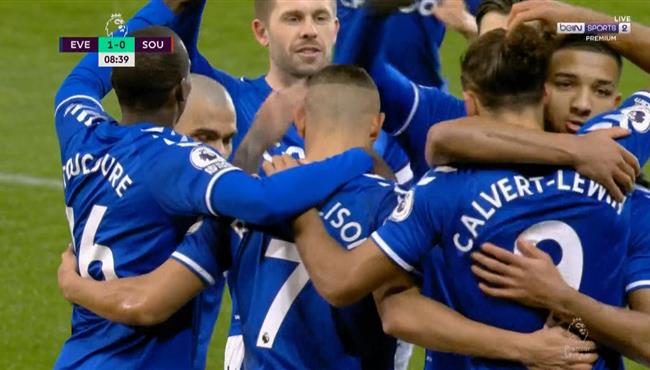 هدف فوز ايفرتون علي ساوثهامبتون 1 0 الدوري الانجليزي