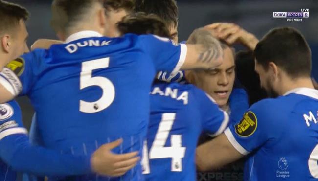 اهداف مباراة برايتون ونيوكاسل 3 0 الدوري الانجليزي