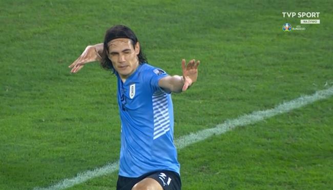 هدف كافاني في مرمي باراجواي بكوبا امريكا