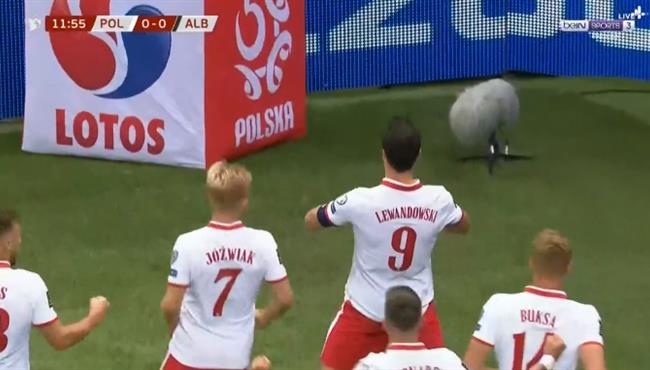 اهداف مباراة بولندا والبانيا 4 1 تصفيات كأس العالم